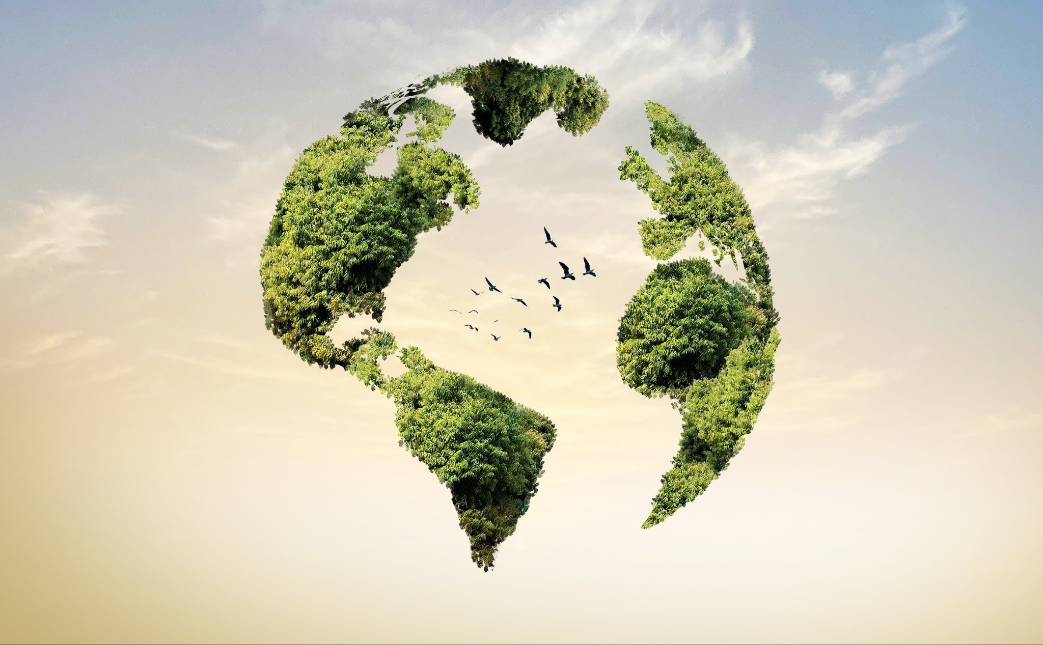 Journée mondiale de l’environnement&nbsp;: Aubret agit pour une industrie plus responsable 🌍